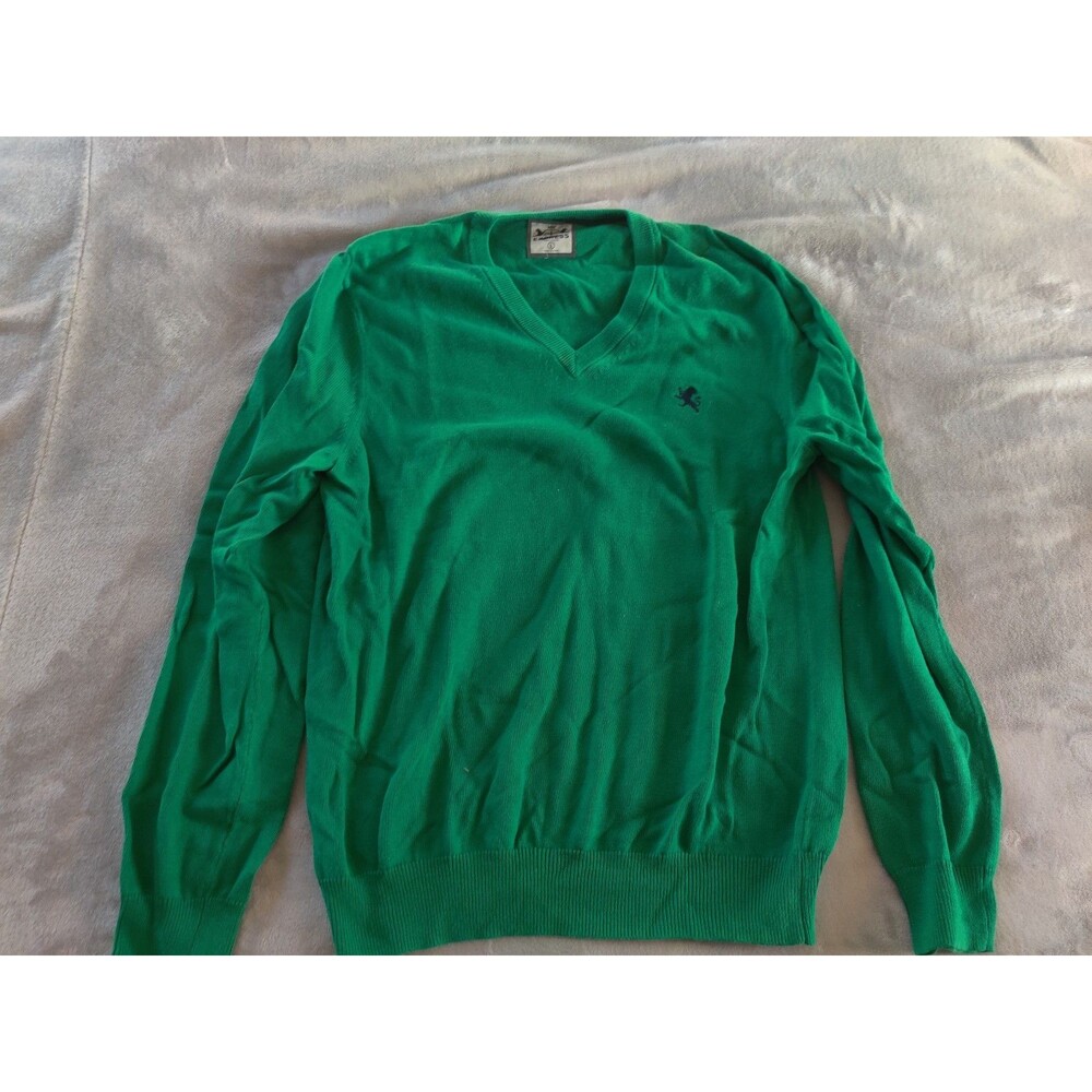 Express men's sweater green size large